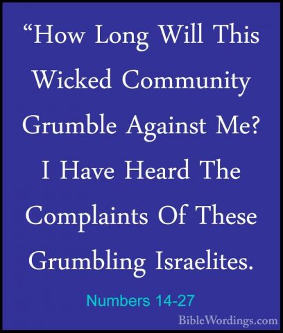 Numbers 14-27 - "How Long Will This Wicked Community Grumble Agai"How Long Will This Wicked Community Grumble Against Me? I Have Heard The Complaints Of These Grumbling Israelites. 