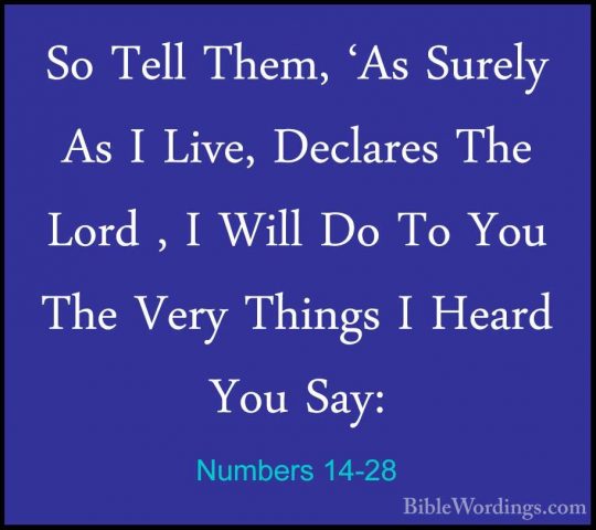 Numbers 14-28 - So Tell Them, 'As Surely As I Live, Declares TheSo Tell Them, 'As Surely As I Live, Declares The Lord , I Will Do To You The Very Things I Heard You Say: 