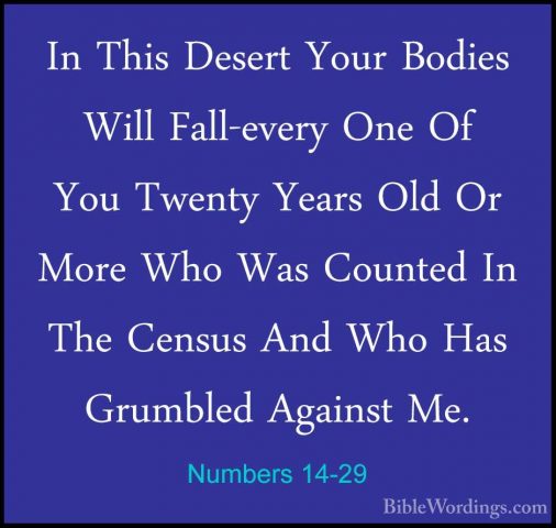 Numbers 14-29 - In This Desert Your Bodies Will Fall-every One OfIn This Desert Your Bodies Will Fall-every One Of You Twenty Years Old Or More Who Was Counted In The Census And Who Has Grumbled Against Me. 