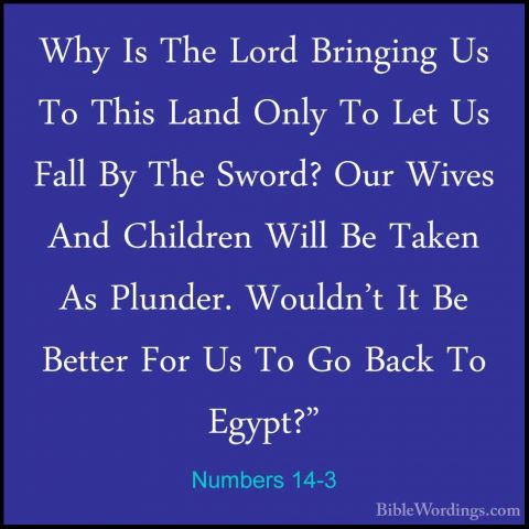 Numbers 14-3 - Why Is The Lord Bringing Us To This Land Only To LWhy Is The Lord Bringing Us To This Land Only To Let Us Fall By The Sword? Our Wives And Children Will Be Taken As Plunder. Wouldn't It Be Better For Us To Go Back To Egypt?" 
