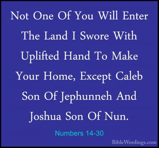 Numbers 14-30 - Not One Of You Will Enter The Land I Swore With UNot One Of You Will Enter The Land I Swore With Uplifted Hand To Make Your Home, Except Caleb Son Of Jephunneh And Joshua Son Of Nun. 