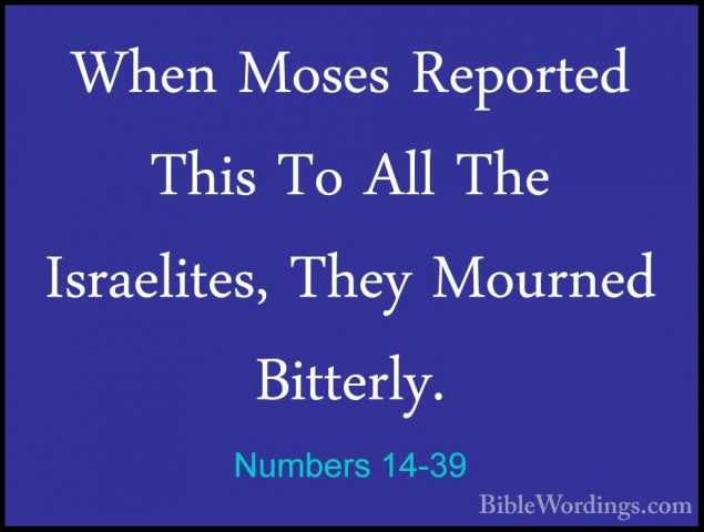 Numbers 14-39 - When Moses Reported This To All The Israelites, TWhen Moses Reported This To All The Israelites, They Mourned Bitterly. 