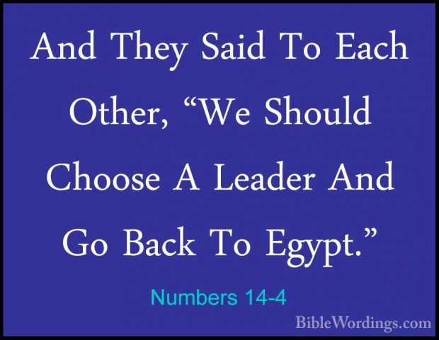 Numbers 14-4 - And They Said To Each Other, "We Should Choose A LAnd They Said To Each Other, "We Should Choose A Leader And Go Back To Egypt." 