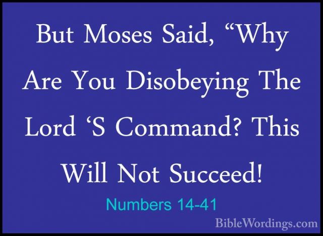 Numbers 14-41 - But Moses Said, "Why Are You Disobeying The LordBut Moses Said, "Why Are You Disobeying The Lord 'S Command? This Will Not Succeed! 