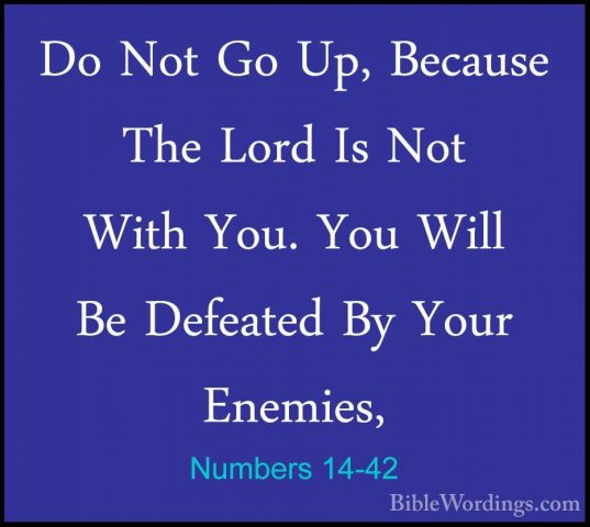 Numbers 14-42 - Do Not Go Up, Because The Lord Is Not With You. YDo Not Go Up, Because The Lord Is Not With You. You Will Be Defeated By Your Enemies, 