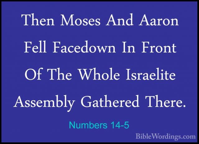 Numbers 14-5 - Then Moses And Aaron Fell Facedown In Front Of TheThen Moses And Aaron Fell Facedown In Front Of The Whole Israelite Assembly Gathered There. 