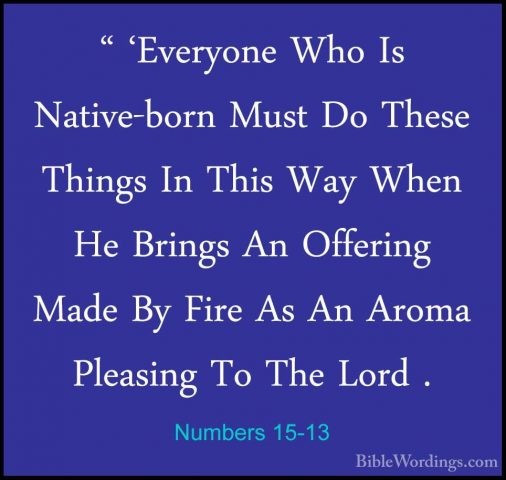 Numbers 15-13 - " 'Everyone Who Is Native-born Must Do These Thin" 'Everyone Who Is Native-born Must Do These Things In This Way When He Brings An Offering Made By Fire As An Aroma Pleasing To The Lord . 