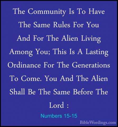 Numbers 15-15 - The Community Is To Have The Same Rules For You AThe Community Is To Have The Same Rules For You And For The Alien Living Among You; This Is A Lasting Ordinance For The Generations To Come. You And The Alien Shall Be The Same Before The Lord : 
