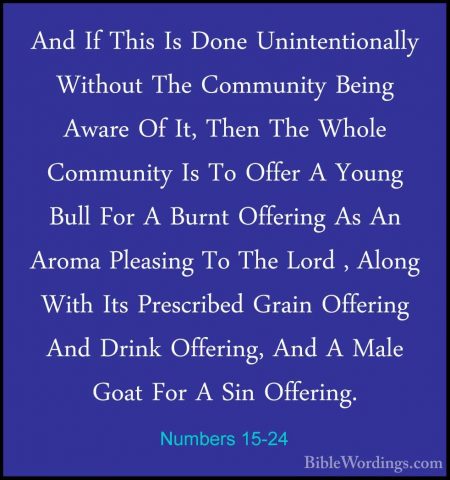 Numbers 15-24 - And If This Is Done Unintentionally Without The CAnd If This Is Done Unintentionally Without The Community Being Aware Of It, Then The Whole Community Is To Offer A Young Bull For A Burnt Offering As An Aroma Pleasing To The Lord , Along With Its Prescribed Grain Offering And Drink Offering, And A Male Goat For A Sin Offering. 