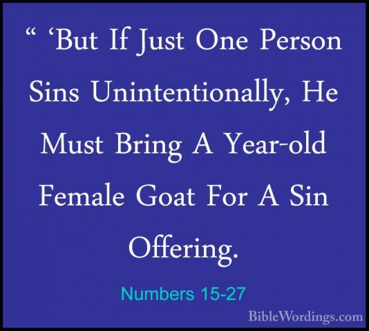 Numbers 15-27 - " 'But If Just One Person Sins Unintentionally, H" 'But If Just One Person Sins Unintentionally, He Must Bring A Year-old Female Goat For A Sin Offering. 