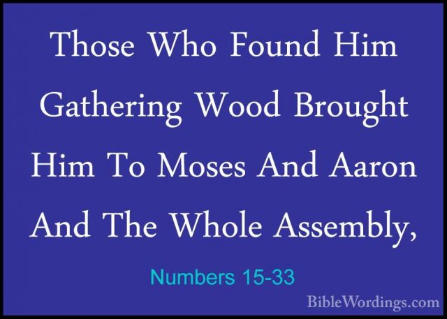 Numbers 15-33 - Those Who Found Him Gathering Wood Brought Him ToThose Who Found Him Gathering Wood Brought Him To Moses And Aaron And The Whole Assembly, 