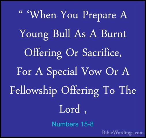 Numbers 15-8 - " 'When You Prepare A Young Bull As A Burnt Offeri" 'When You Prepare A Young Bull As A Burnt Offering Or Sacrifice, For A Special Vow Or A Fellowship Offering To The Lord , 