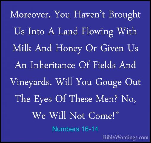 Numbers 16-14 - Moreover, You Haven't Brought Us Into A Land FlowMoreover, You Haven't Brought Us Into A Land Flowing With Milk And Honey Or Given Us An Inheritance Of Fields And Vineyards. Will You Gouge Out The Eyes Of These Men? No, We Will Not Come!" 