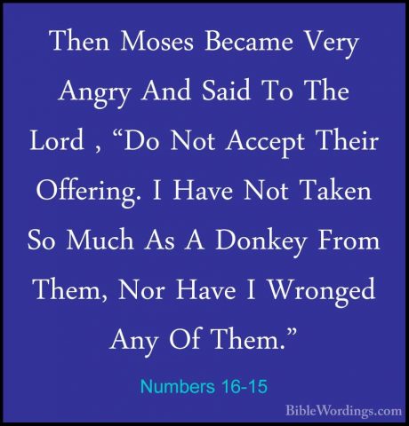 Numbers 16-15 - Then Moses Became Very Angry And Said To The LordThen Moses Became Very Angry And Said To The Lord , "Do Not Accept Their Offering. I Have Not Taken So Much As A Donkey From Them, Nor Have I Wronged Any Of Them." 