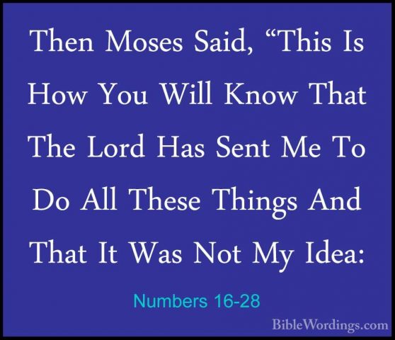 Numbers 16-28 - Then Moses Said, "This Is How You Will Know ThatThen Moses Said, "This Is How You Will Know That The Lord Has Sent Me To Do All These Things And That It Was Not My Idea: 