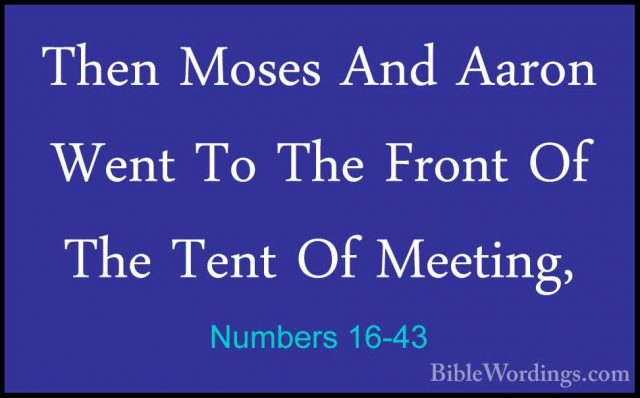 Numbers 16-43 - Then Moses And Aaron Went To The Front Of The TenThen Moses And Aaron Went To The Front Of The Tent Of Meeting, 