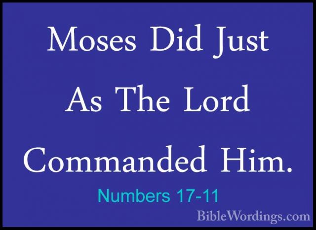 Numbers 17-11 - Moses Did Just As The Lord Commanded Him.Moses Did Just As The Lord Commanded Him. 