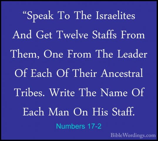 Numbers 17-2 - "Speak To The Israelites And Get Twelve Staffs Fro"Speak To The Israelites And Get Twelve Staffs From Them, One From The Leader Of Each Of Their Ancestral Tribes. Write The Name Of Each Man On His Staff. 