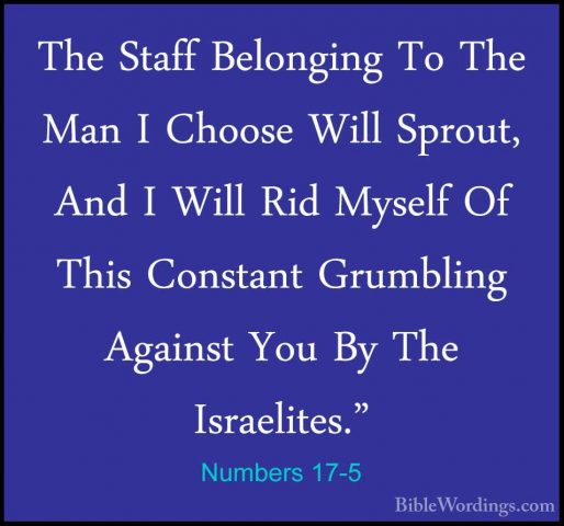 Numbers 17-5 - The Staff Belonging To The Man I Choose Will SprouThe Staff Belonging To The Man I Choose Will Sprout, And I Will Rid Myself Of This Constant Grumbling Against You By The Israelites." 