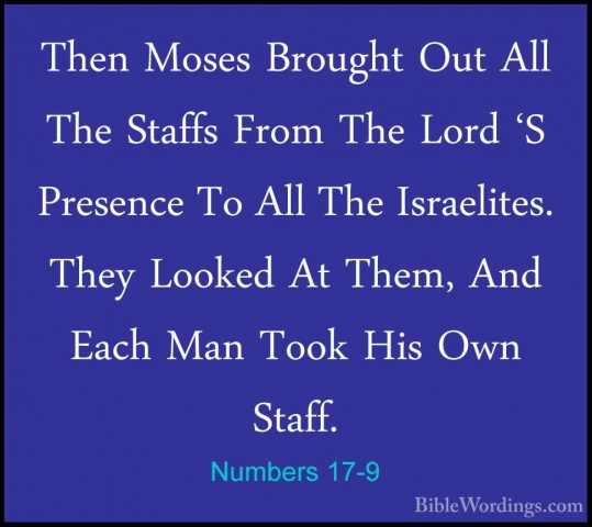 Numbers 17-9 - Then Moses Brought Out All The Staffs From The LorThen Moses Brought Out All The Staffs From The Lord 'S Presence To All The Israelites. They Looked At Them, And Each Man Took His Own Staff. 