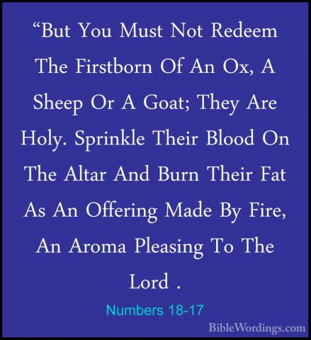 Numbers 18-17 - "But You Must Not Redeem The Firstborn Of An Ox,"But You Must Not Redeem The Firstborn Of An Ox, A Sheep Or A Goat; They Are Holy. Sprinkle Their Blood On The Altar And Burn Their Fat As An Offering Made By Fire, An Aroma Pleasing To The Lord . 