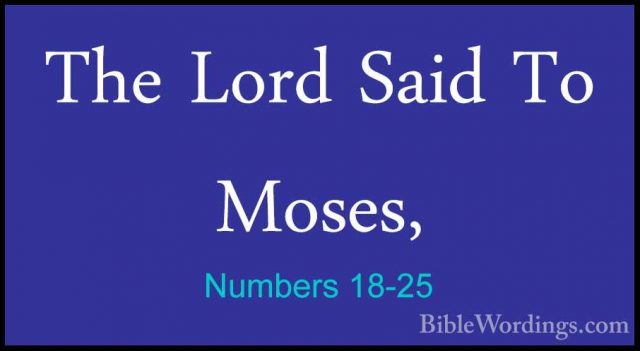 Numbers 18-25 - The Lord Said To Moses,The Lord Said To Moses, 