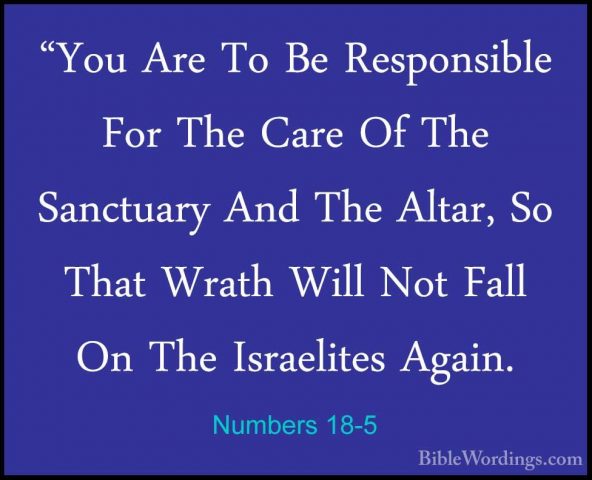 Numbers 18-5 - "You Are To Be Responsible For The Care Of The San"You Are To Be Responsible For The Care Of The Sanctuary And The Altar, So That Wrath Will Not Fall On The Israelites Again. 