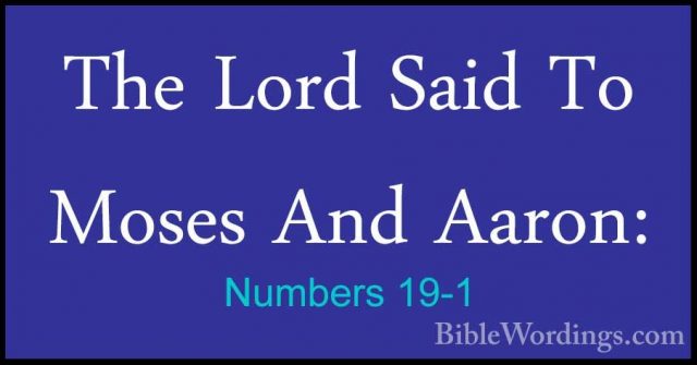Numbers 19-1 - The Lord Said To Moses And Aaron:The Lord Said To Moses And Aaron: 