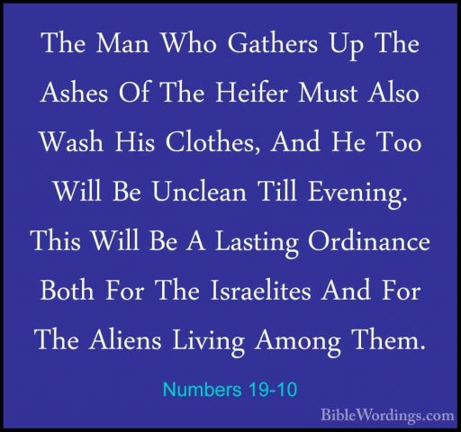 Numbers 19-10 - The Man Who Gathers Up The Ashes Of The Heifer MuThe Man Who Gathers Up The Ashes Of The Heifer Must Also Wash His Clothes, And He Too Will Be Unclean Till Evening. This Will Be A Lasting Ordinance Both For The Israelites And For The Aliens Living Among Them. 