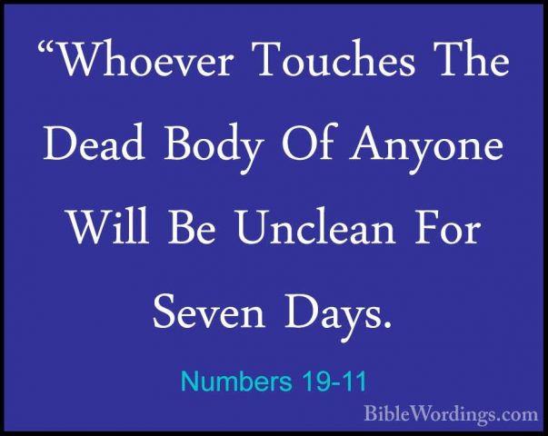 Numbers 19-11 - "Whoever Touches The Dead Body Of Anyone Will Be"Whoever Touches The Dead Body Of Anyone Will Be Unclean For Seven Days. 