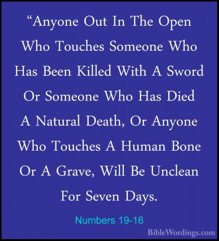 Numbers 19-16 - "Anyone Out In The Open Who Touches Someone Who H"Anyone Out In The Open Who Touches Someone Who Has Been Killed With A Sword Or Someone Who Has Died A Natural Death, Or Anyone Who Touches A Human Bone Or A Grave, Will Be Unclean For Seven Days. 