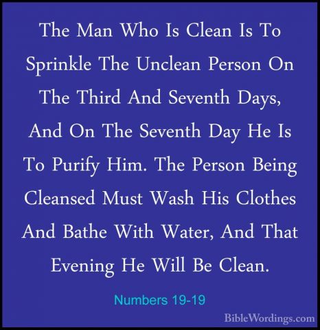Numbers 19-19 - The Man Who Is Clean Is To Sprinkle The Unclean PThe Man Who Is Clean Is To Sprinkle The Unclean Person On The Third And Seventh Days, And On The Seventh Day He Is To Purify Him. The Person Being Cleansed Must Wash His Clothes And Bathe With Water, And That Evening He Will Be Clean. 
