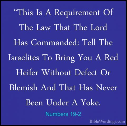 Numbers 19-2 - "This Is A Requirement Of The Law That The Lord Ha"This Is A Requirement Of The Law That The Lord Has Commanded: Tell The Israelites To Bring You A Red Heifer Without Defect Or Blemish And That Has Never Been Under A Yoke. 