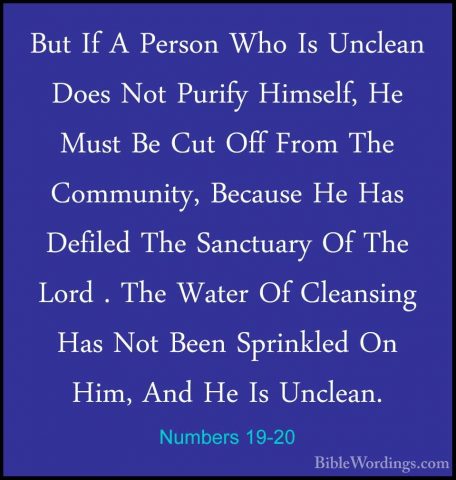 Numbers 19-20 - But If A Person Who Is Unclean Does Not Purify HiBut If A Person Who Is Unclean Does Not Purify Himself, He Must Be Cut Off From The Community, Because He Has Defiled The Sanctuary Of The Lord . The Water Of Cleansing Has Not Been Sprinkled On Him, And He Is Unclean. 