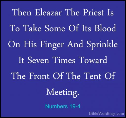 Numbers 19-4 - Then Eleazar The Priest Is To Take Some Of Its BloThen Eleazar The Priest Is To Take Some Of Its Blood On His Finger And Sprinkle It Seven Times Toward The Front Of The Tent Of Meeting. 