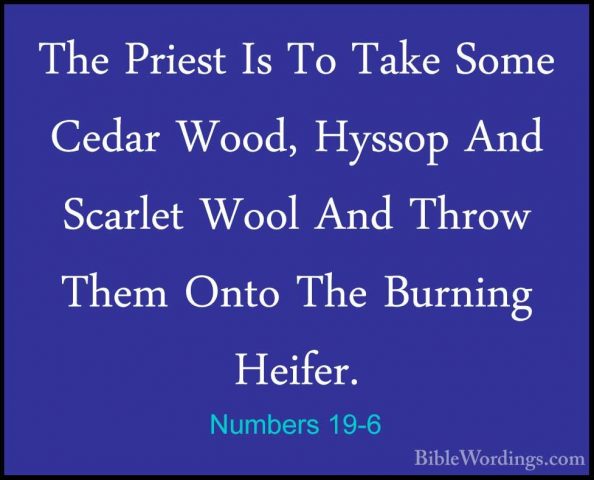 Numbers 19-6 - The Priest Is To Take Some Cedar Wood, Hyssop AndThe Priest Is To Take Some Cedar Wood, Hyssop And Scarlet Wool And Throw Them Onto The Burning Heifer. 