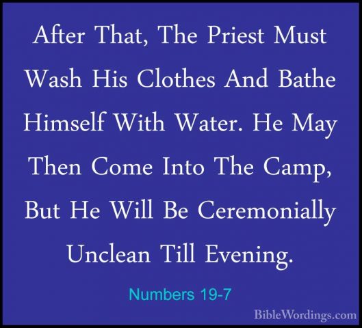 Numbers 19-7 - After That, The Priest Must Wash His Clothes And BAfter That, The Priest Must Wash His Clothes And Bathe Himself With Water. He May Then Come Into The Camp, But He Will Be Ceremonially Unclean Till Evening. 