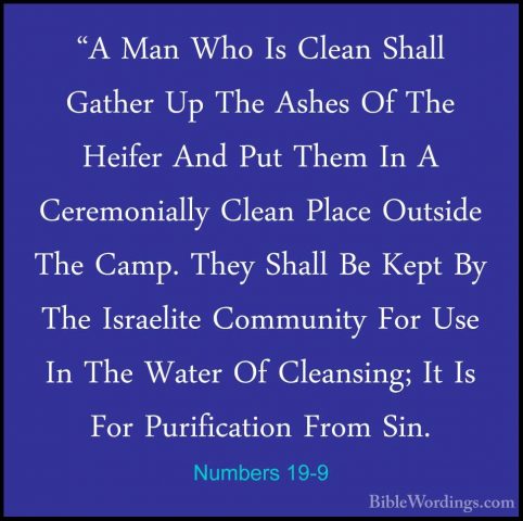 Numbers 19-9 - "A Man Who Is Clean Shall Gather Up The Ashes Of T"A Man Who Is Clean Shall Gather Up The Ashes Of The Heifer And Put Them In A Ceremonially Clean Place Outside The Camp. They Shall Be Kept By The Israelite Community For Use In The Water Of Cleansing; It Is For Purification From Sin. 