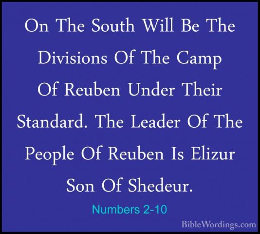 Numbers 2-10 - On The South Will Be The Divisions Of The Camp OfOn The South Will Be The Divisions Of The Camp Of Reuben Under Their Standard. The Leader Of The People Of Reuben Is Elizur Son Of Shedeur. 