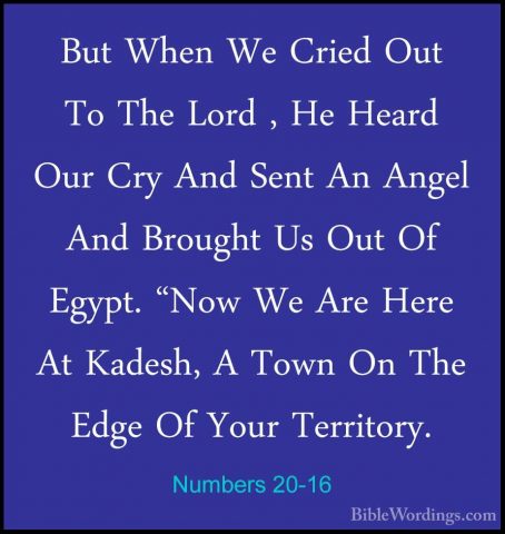 Numbers 20-16 - But When We Cried Out To The Lord , He Heard OurBut When We Cried Out To The Lord , He Heard Our Cry And Sent An Angel And Brought Us Out Of Egypt. "Now We Are Here At Kadesh, A Town On The Edge Of Your Territory. 