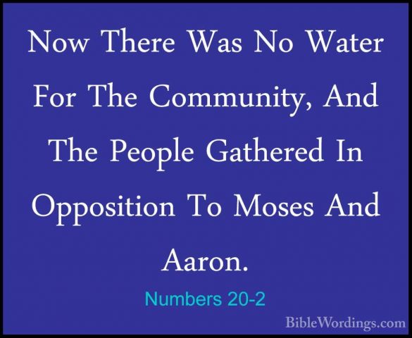 Numbers 20-2 - Now There Was No Water For The Community, And TheNow There Was No Water For The Community, And The People Gathered In Opposition To Moses And Aaron. 