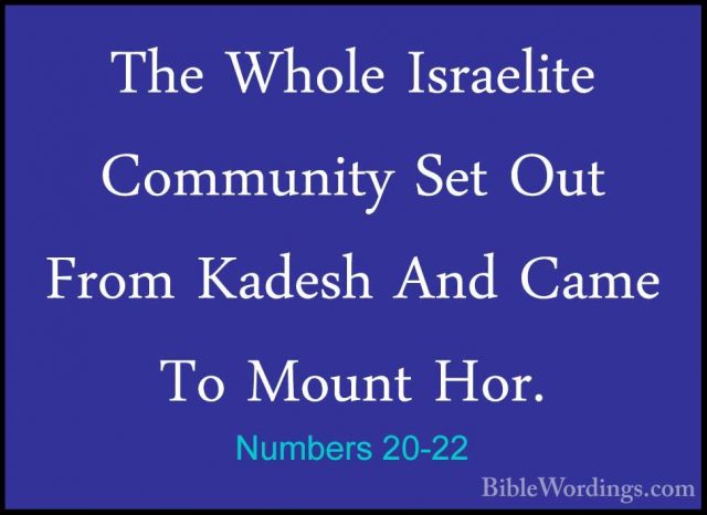 Numbers 20-22 - The Whole Israelite Community Set Out From KadeshThe Whole Israelite Community Set Out From Kadesh And Came To Mount Hor. 
