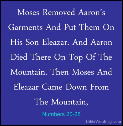 Numbers 20-28 - Moses Removed Aaron's Garments And Put Them On HiMoses Removed Aaron's Garments And Put Them On His Son Eleazar. And Aaron Died There On Top Of The Mountain. Then Moses And Eleazar Came Down From The Mountain, 