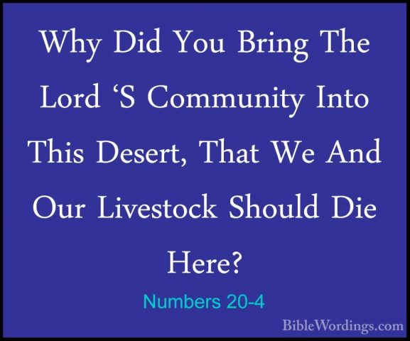 Numbers 20-4 - Why Did You Bring The Lord 'S Community Into ThisWhy Did You Bring The Lord 'S Community Into This Desert, That We And Our Livestock Should Die Here? 