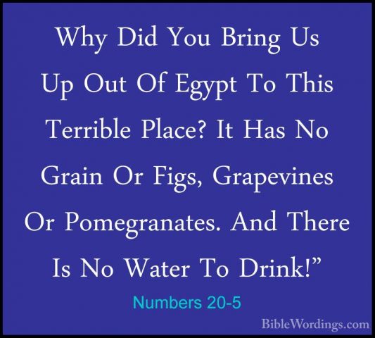 Numbers 20-5 - Why Did You Bring Us Up Out Of Egypt To This TerriWhy Did You Bring Us Up Out Of Egypt To This Terrible Place? It Has No Grain Or Figs, Grapevines Or Pomegranates. And There Is No Water To Drink!" 
