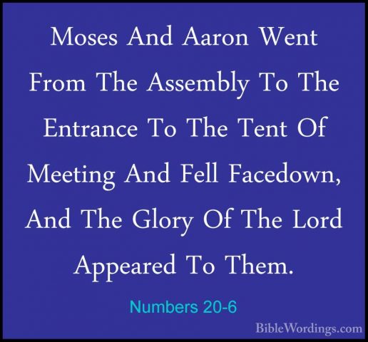 Numbers 20-6 - Moses And Aaron Went From The Assembly To The EntrMoses And Aaron Went From The Assembly To The Entrance To The Tent Of Meeting And Fell Facedown, And The Glory Of The Lord Appeared To Them. 