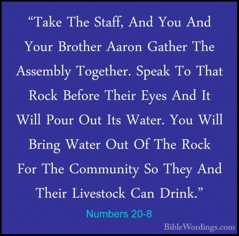 Numbers 20-8 - "Take The Staff, And You And Your Brother Aaron Ga"Take The Staff, And You And Your Brother Aaron Gather The Assembly Together. Speak To That Rock Before Their Eyes And It Will Pour Out Its Water. You Will Bring Water Out Of The Rock For The Community So They And Their Livestock Can Drink." 