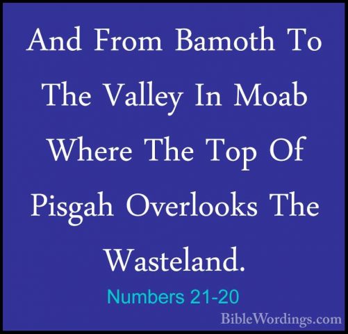 Numbers 21-20 - And From Bamoth To The Valley In Moab Where The TAnd From Bamoth To The Valley In Moab Where The Top Of Pisgah Overlooks The Wasteland. 