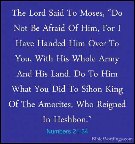 Numbers 21-34 - The Lord Said To Moses, "Do Not Be Afraid Of Him,The Lord Said To Moses, "Do Not Be Afraid Of Him, For I Have Handed Him Over To You, With His Whole Army And His Land. Do To Him What You Did To Sihon King Of The Amorites, Who Reigned In Heshbon." 