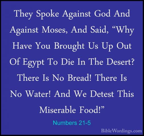 Numbers 21-5 - They Spoke Against God And Against Moses, And SaidThey Spoke Against God And Against Moses, And Said, "Why Have You Brought Us Up Out Of Egypt To Die In The Desert? There Is No Bread! There Is No Water! And We Detest This Miserable Food!" 
